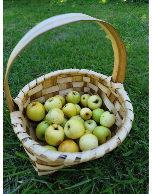 Cesta Artesanal de Madera Natural 35 cm